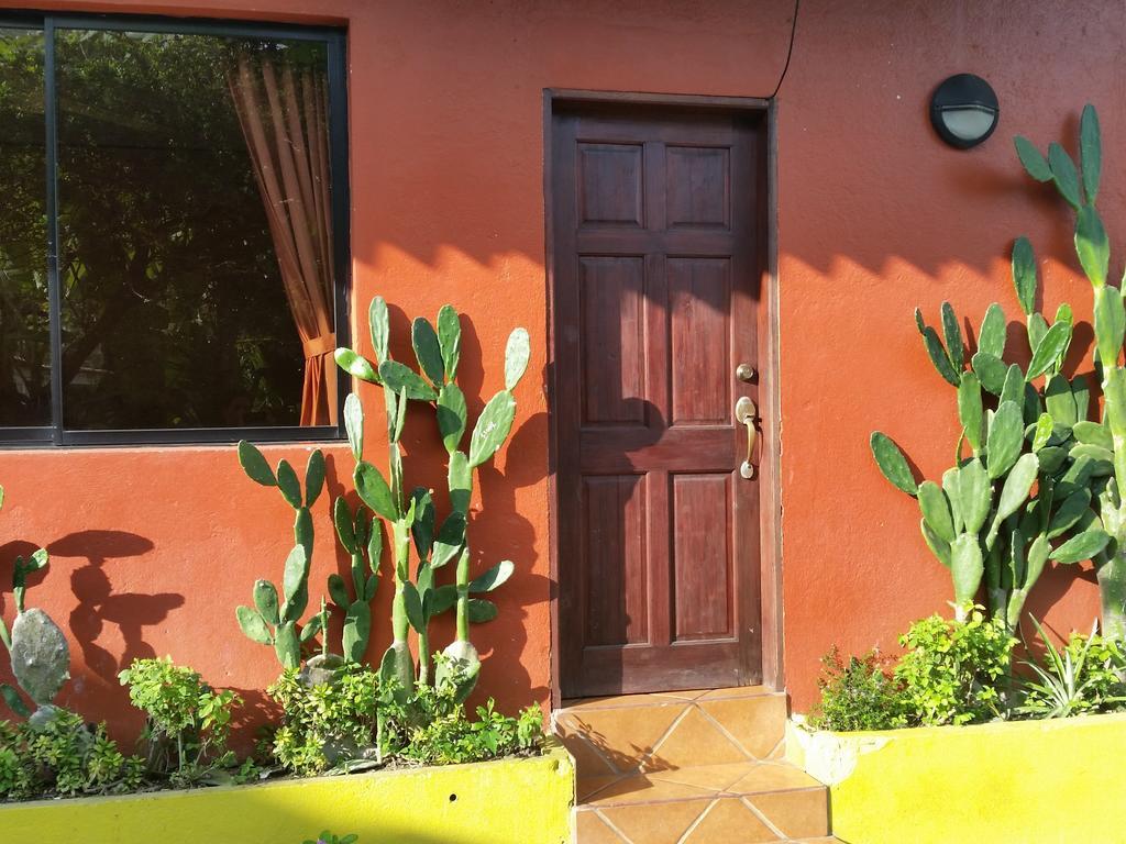 Hotel Cabinas Mar Y Cielo Montezuma Kamer foto
